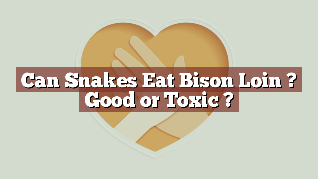 Can Snakes Eat Bison Loin ? Good or Toxic ?