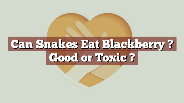 Can Snakes Eat Blackberry ? Good or Toxic ?