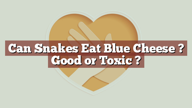 Can Snakes Eat Blue Cheese ? Good or Toxic ?