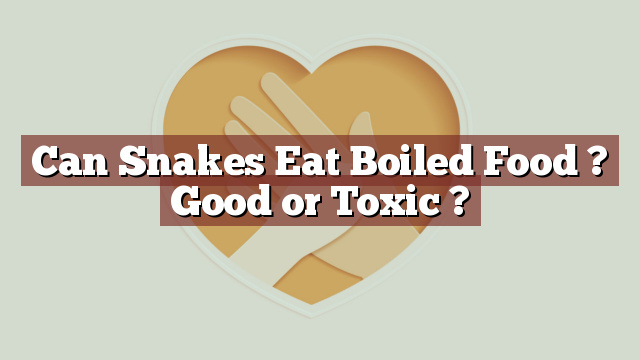 Can Snakes Eat Boiled Food ? Good or Toxic ?