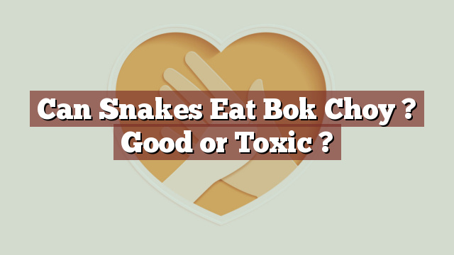 Can Snakes Eat Bok Choy ? Good or Toxic ?