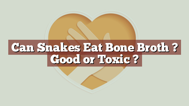 Can Snakes Eat Bone Broth ? Good or Toxic ?