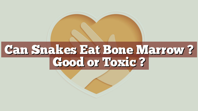 Can Snakes Eat Bone Marrow ? Good or Toxic ?