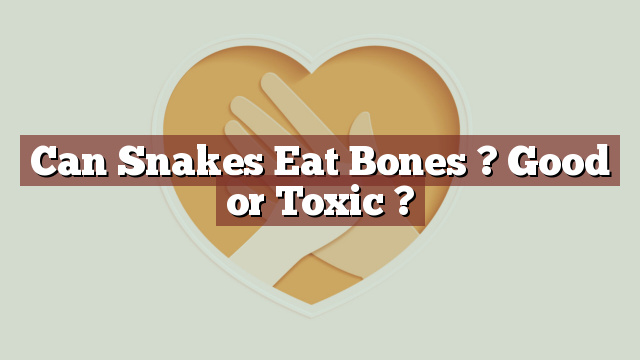 Can Snakes Eat Bones ? Good or Toxic ?