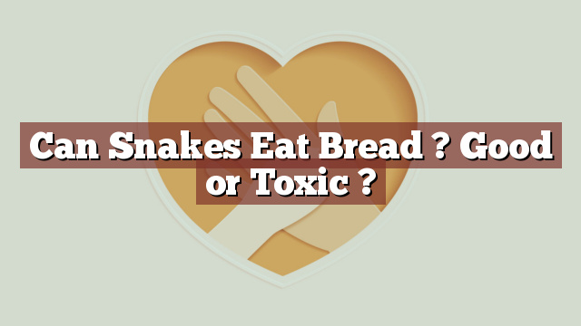 Can Snakes Eat Bread ? Good or Toxic ?