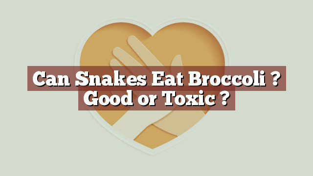 Can Snakes Eat Broccoli ? Good or Toxic ?