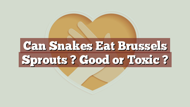 Can Snakes Eat Brussels Sprouts ? Good or Toxic ?