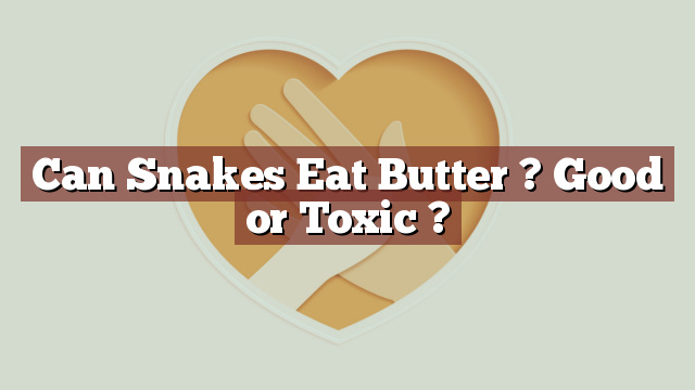 Can Snakes Eat Butter ? Good or Toxic ?