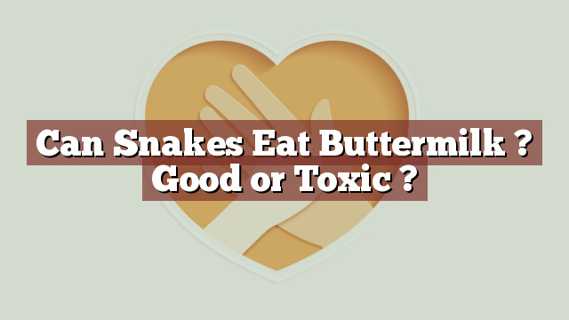 Can Snakes Eat Buttermilk ? Good or Toxic ?