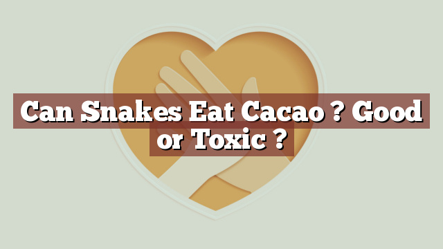 Can Snakes Eat Cacao ? Good or Toxic ?