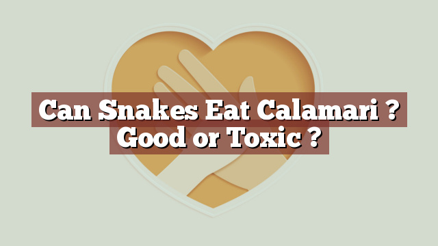 Can Snakes Eat Calamari ? Good or Toxic ?