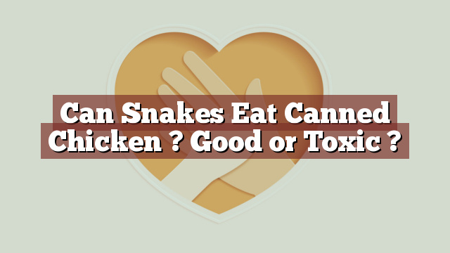 Can Snakes Eat Canned Chicken ? Good or Toxic ?