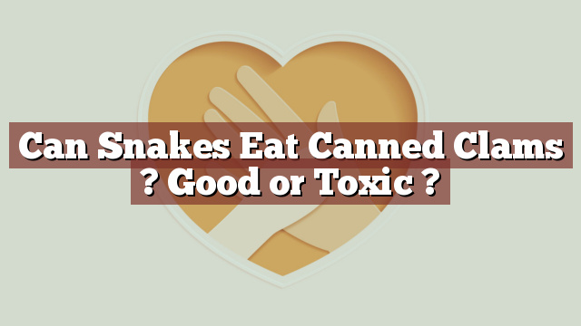 Can Snakes Eat Canned Clams ? Good or Toxic ?