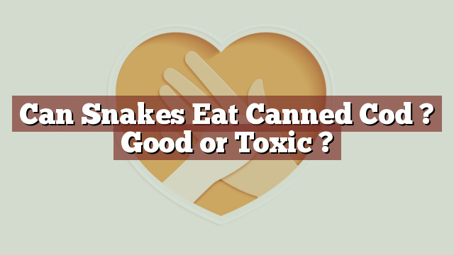 Can Snakes Eat Canned Cod ? Good or Toxic ?