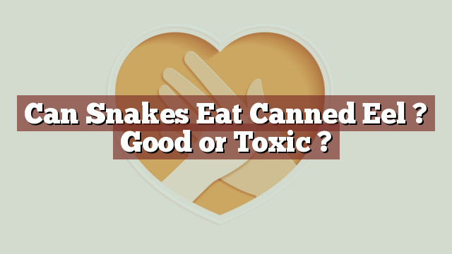 Can Snakes Eat Canned Eel ? Good or Toxic ?