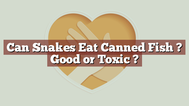 Can Snakes Eat Canned Fish ? Good or Toxic ?