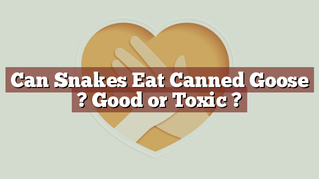 Can Snakes Eat Canned Goose ? Good or Toxic ?