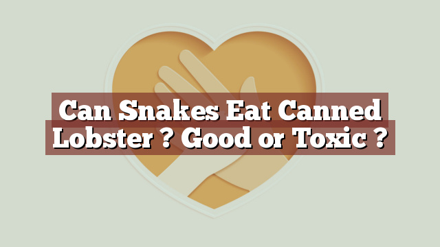 Can Snakes Eat Canned Lobster ? Good or Toxic ?