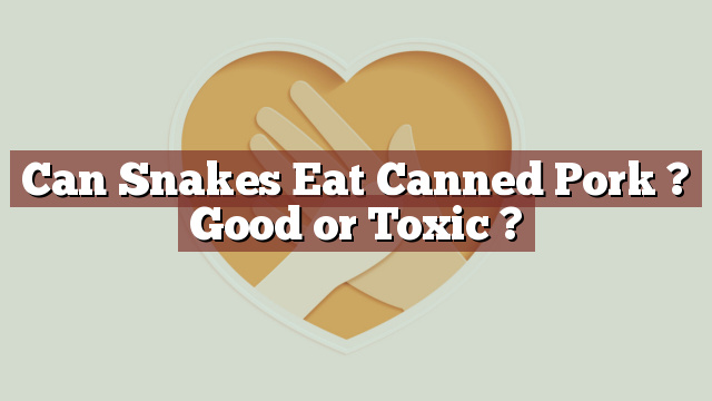 Can Snakes Eat Canned Pork ? Good or Toxic ?