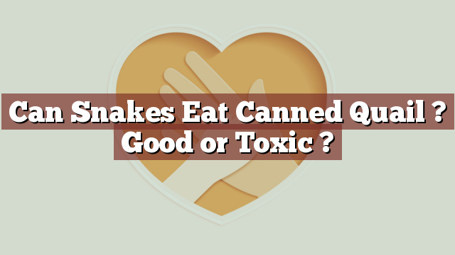 Can Snakes Eat Canned Quail ? Good or Toxic ?