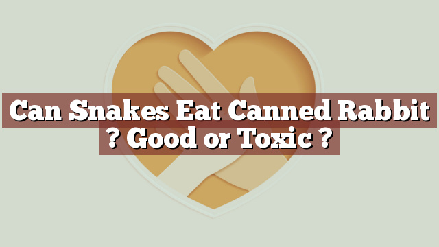 Can Snakes Eat Canned Rabbit ? Good or Toxic ?