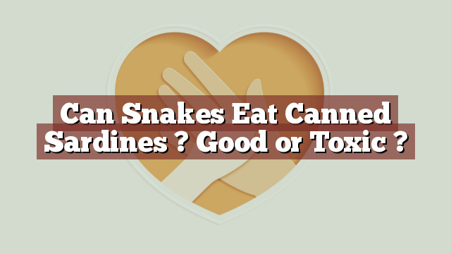 Can Snakes Eat Canned Sardines ? Good or Toxic ?