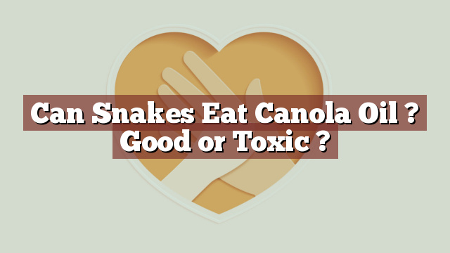 Can Snakes Eat Canola Oil ? Good or Toxic ?