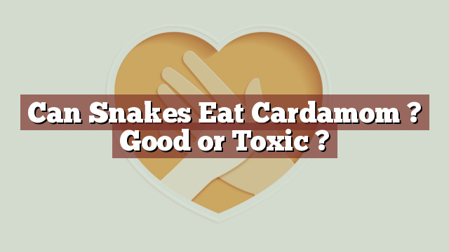 Can Snakes Eat Cardamom ? Good or Toxic ?