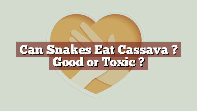 Can Snakes Eat Cassava ? Good or Toxic ?