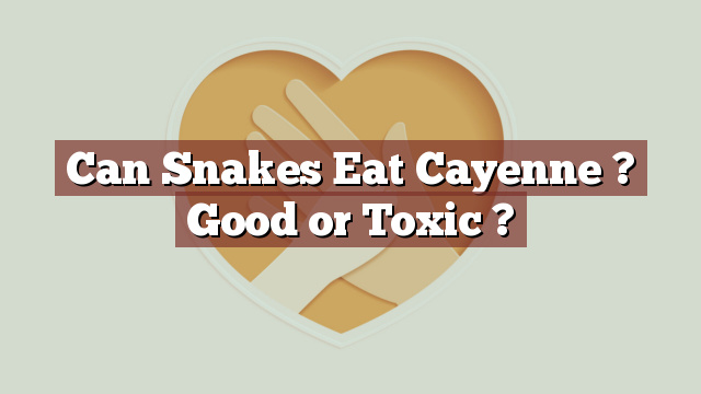 Can Snakes Eat Cayenne ? Good or Toxic ?