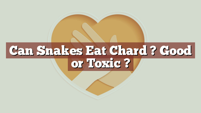 Can Snakes Eat Chard ? Good or Toxic ?