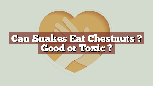 Can Snakes Eat Chestnuts ? Good or Toxic ?