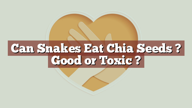 Can Snakes Eat Chia Seeds ? Good or Toxic ?