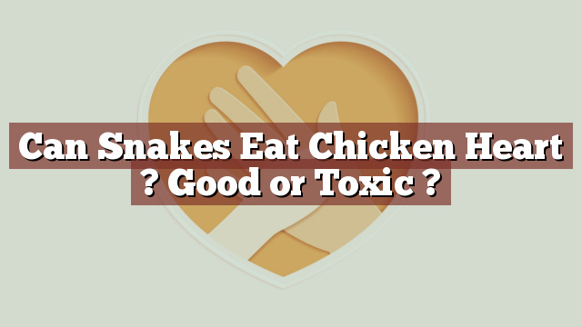 Can Snakes Eat Chicken Heart ? Good or Toxic ?
