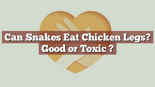 Can Snakes Eat Chicken Legs? Good or Toxic ?