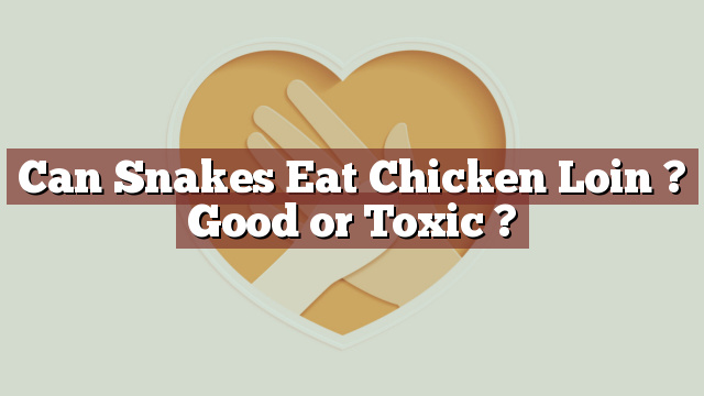 Can Snakes Eat Chicken Loin ? Good or Toxic ?