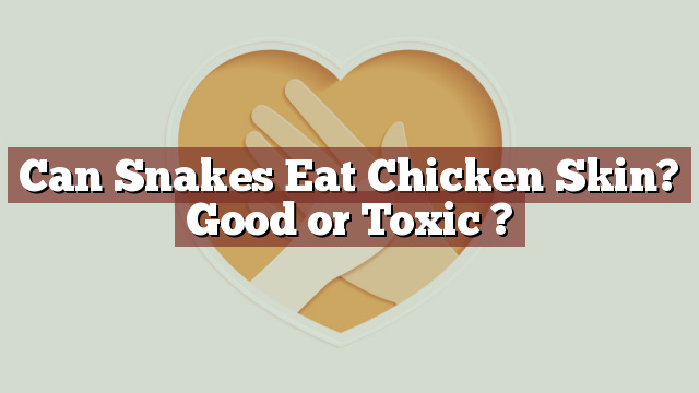 Can Snakes Eat Chicken Skin? Good or Toxic ?