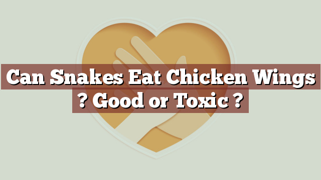Can Snakes Eat Chicken Wings ? Good or Toxic ?