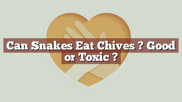 Can Snakes Eat Chives ? Good or Toxic ?