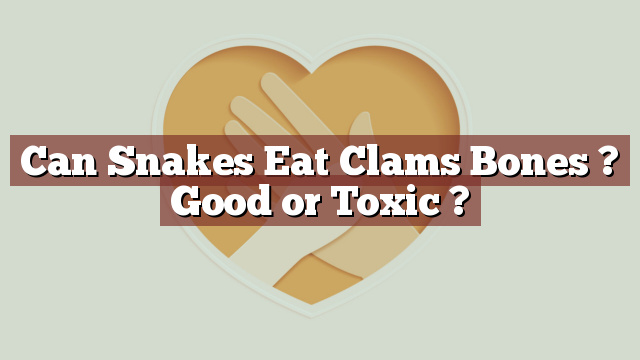 Can Snakes Eat Clams Bones ? Good or Toxic ?