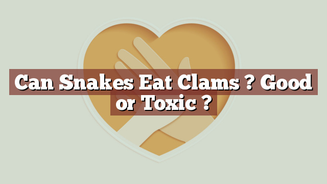 Can Snakes Eat Clams ? Good or Toxic ?