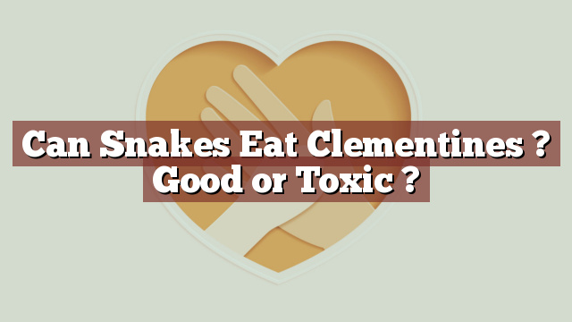Can Snakes Eat Clementines ? Good or Toxic ?