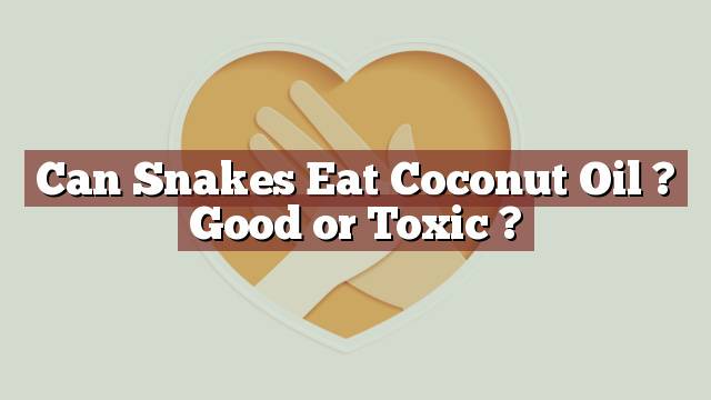 Can Snakes Eat Coconut Oil ? Good or Toxic ?