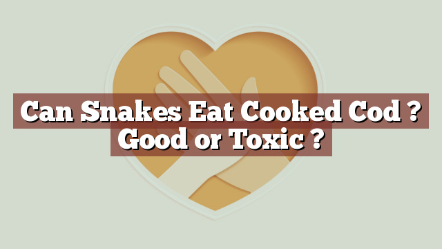 Can Snakes Eat Cooked Cod ? Good or Toxic ?