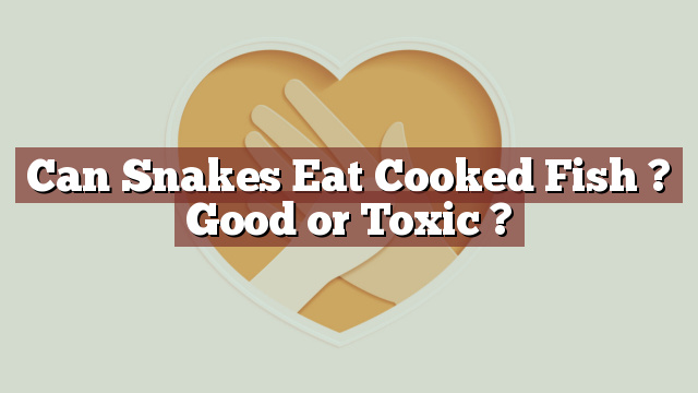 Can Snakes Eat Cooked Fish ? Good or Toxic ?