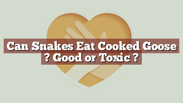 Can Snakes Eat Cooked Goose ? Good or Toxic ?
