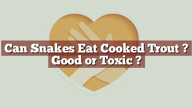 Can Snakes Eat Cooked Trout ? Good or Toxic ?