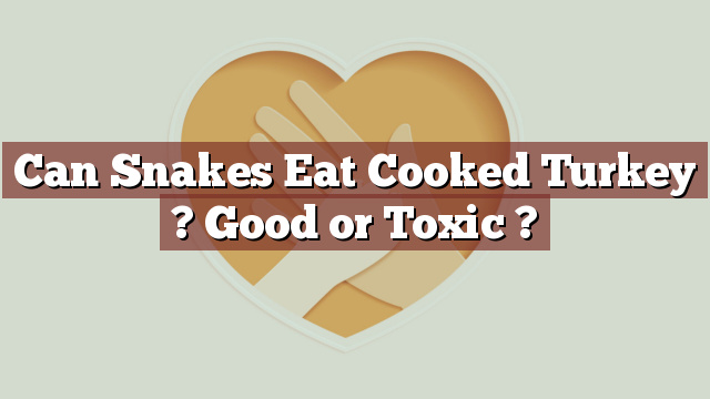 Can Snakes Eat Cooked Turkey ? Good or Toxic ?