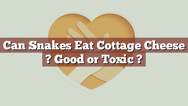 Can Snakes Eat Cottage Cheese ? Good or Toxic ?