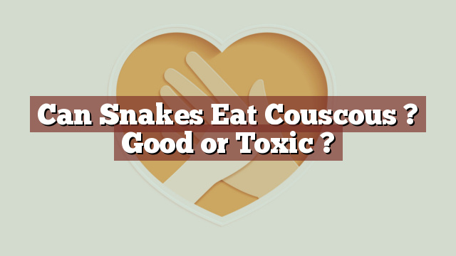 Can Snakes Eat Couscous ? Good or Toxic ?